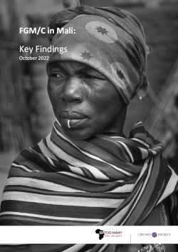 Key Findings: FGM/C in Mali (2022, English)
